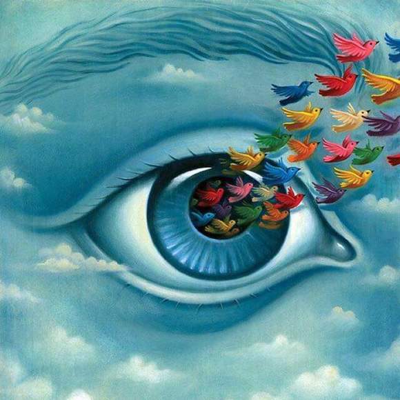 Meet your Posher, David - Picture 1 of 1